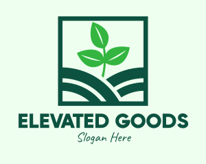 Organic Plant Seedling logo design