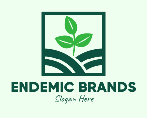 Organic Plant Seedling logo design