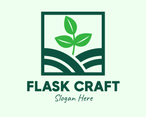 Organic Plant Seedling logo design