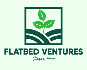 Organic Plant Seedling logo design