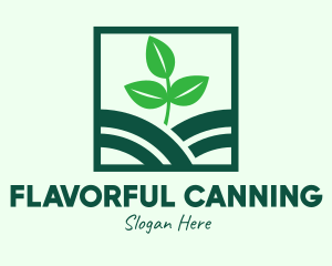 Organic Plant Seedling logo design