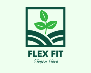 Organic Plant Seedling logo design