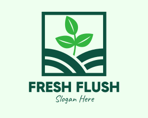 Organic Plant Seedling logo design