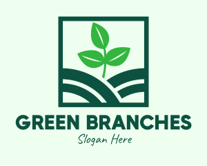 Organic Plant Seedling logo design