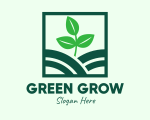 Organic Plant Seedling logo design