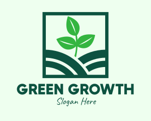 Organic Plant Seedling logo design