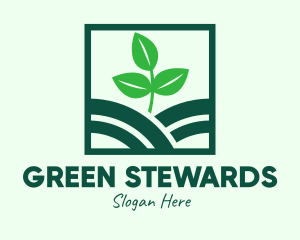 Organic Plant Seedling logo design