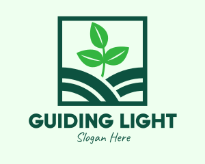 Organic Plant Seedling logo design