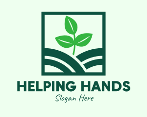 Organic Plant Seedling logo design