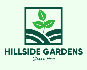 Organic Plant Seedling logo design