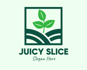 Organic Plant Seedling logo design