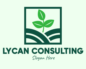 Organic Plant Seedling logo design