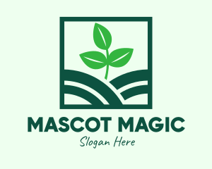 Organic Plant Seedling logo design