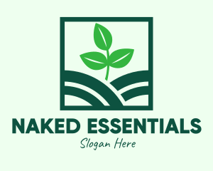 Organic Plant Seedling logo design