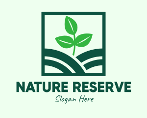 Organic Plant Seedling logo design