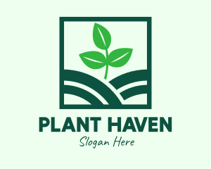 Organic Plant Seedling logo design