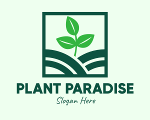 Organic Plant Seedling logo design