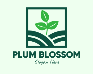 Organic Plant Seedling logo design