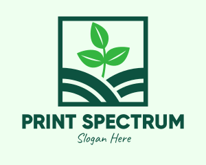 Organic Plant Seedling logo design