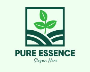 Organic Plant Seedling logo design