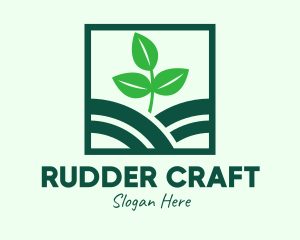 Organic Plant Seedling logo design