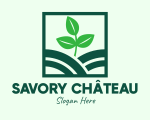 Organic Plant Seedling logo design