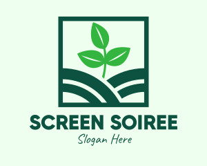 Organic Plant Seedling logo design