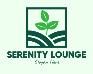 Organic Plant Seedling logo design