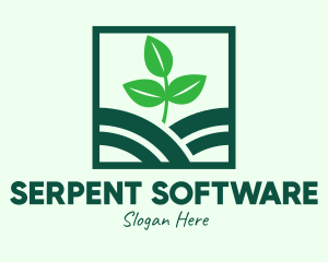 Organic Plant Seedling logo design