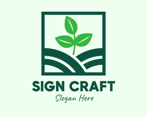 Organic Plant Seedling logo design