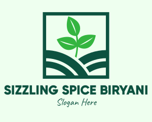 Organic Plant Seedling logo design