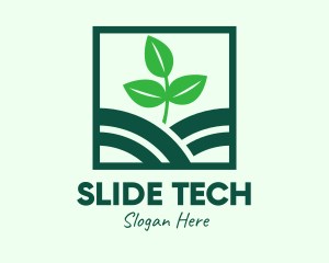 Organic Plant Seedling logo design