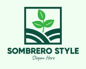 Organic Plant Seedling logo design