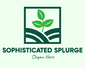 Organic Plant Seedling logo design