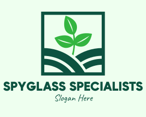 Organic Plant Seedling logo design