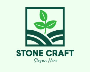 Organic Plant Seedling logo design