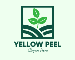 Organic Plant Seedling logo design