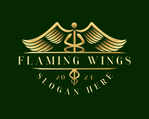 Medical Healthcare Caduceus logo design