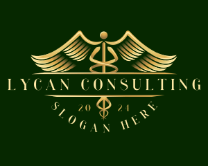 Medical Healthcare Caduceus logo design