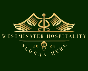 Medical Healthcare Caduceus logo design