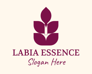 Lavender Essence Leaf logo design