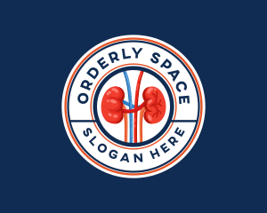 Kidney Organ Anatomy logo design