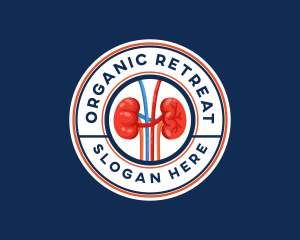 Kidney Organ Anatomy logo