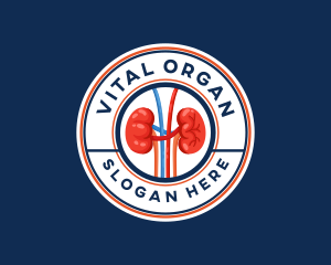 Kidney Organ Anatomy logo design