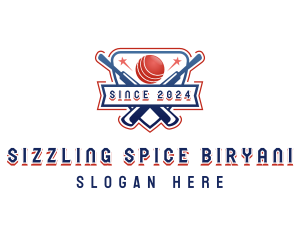 Cricket Sports League logo design