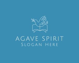 Holy Spirit Bible logo design