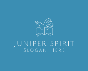 Holy Spirit Bible logo design