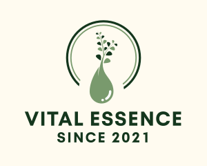 Eucalyptus Oil Essence  logo