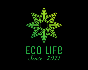 Green Environmental Star  logo design