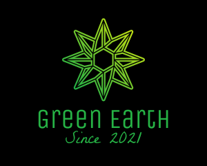 Green Environmental Star  logo design